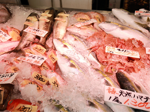 ザ・ホテルシーポートのお隣は新鮮なお魚の並ぶ【日本海鮮魚センター】や豊富なマリングッズが揃う【セラー15】などお土産購入にぴったりな施設が立ち並びます♪ご旅行の思い出と一緒にお買い物をお楽しみください。
