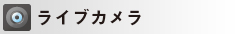 ライブカメラ