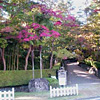 木村茶道美術館と松雲山荘